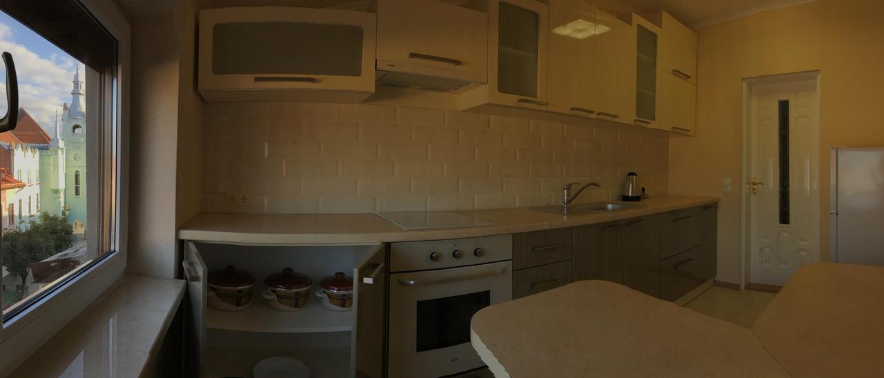 Panoramic View Top Floor Apartment In The City Center Мукачево Экстерьер фото